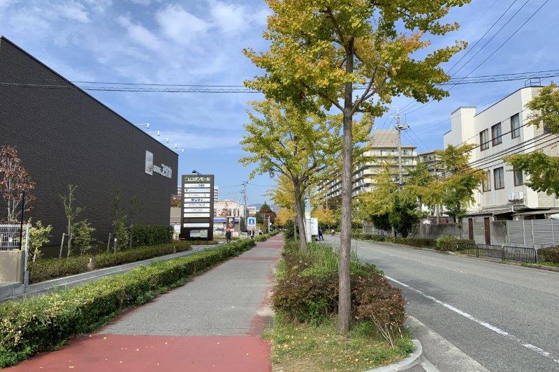 武庫川団地エリアは歩道が広くて歩きやすい